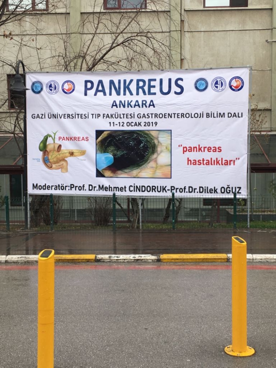 Pankreas hastalıkları ve endoskopik ultrosonografi hakkındaki bilgilerimizi tazelemek için genç gastroenterolog arkadaşlarla buluşacağız.